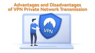 Advantages and Disadvantages of VPN Private Network Transmission