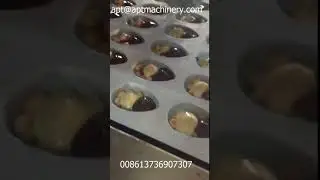 half egg chocolate blister packaging machine with cooling tunnel
