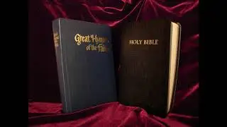 John 7 
