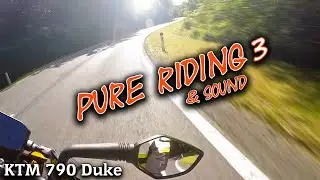 KTM 790 Duke │ Pure Riding & Sound 2019