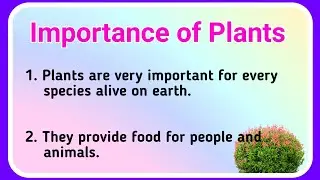 importance of plants 10 lines essay in english essay on Importance of plants!! Ashwin's World