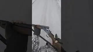 Single barrel 16 gauge shotgun and old hunting cartridges #short #shorts #shortsfeed