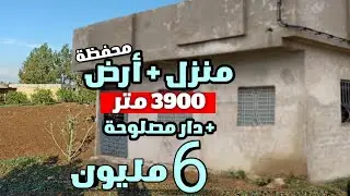 منزل و الارض فيها 3900 متر محفظة و دار وسط سكن 6 مليون