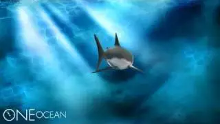 Salmon Shark 3D Rendering