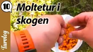 M&oslash;ltetur i Midt-Telemark | Turvlog 10