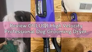 Review GULUQI High Velocity Professional Dog Grooming Dryer,Adjustable Temperature and Speed Hair Dr
