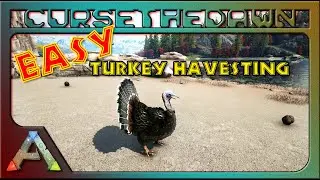 Late Night Gaming: ARK Turkey Trial  Trick