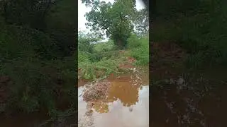 Kothaga  genalu vesanu