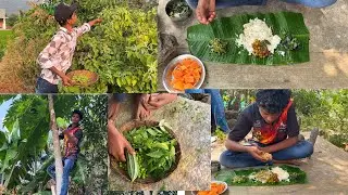 Harvesting many vegetables in nature & cooking | school boy lifestyle in mountain side | 