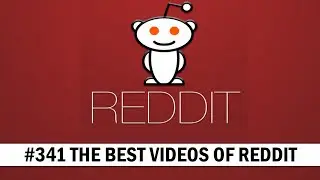 THE BEST VIDEOS OF REDDIT. To infinity and beyond!!!