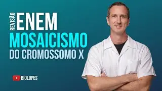 ENEM 2022 - Na figura está representado o mosaicismo em função da inativação de um dos cromossomos X