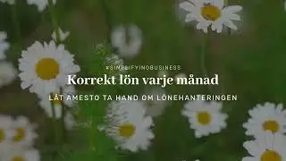 L&aring;t Amesto ta hand om l&ouml;nehanteringen
