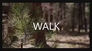 Walk short movie by T. Ivanov