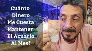 🔵 Cuánto Dinero Me Cuesta Mantener El Acuario Marino Al Mes Con El Método Tritón? (Acuarios MB)