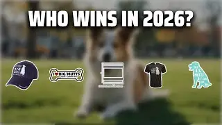 The Top 5 Best Big Mutts in 2026 - Must Watch Before Buying!