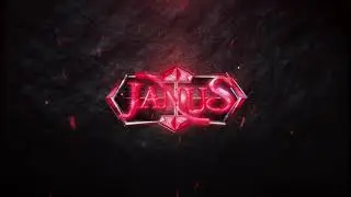 Janus 317 Introduction