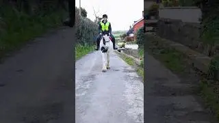 Hack with us! Winter ride ❄️🦄 #winterride #ridewithus #horse #irishcob #horseriding #equestrian