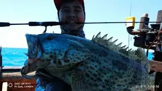 CANGKOL CIREBON MANCING DI RUMPON JENAHA & KAKAP MERAH II trip with SFC jabodetabek.