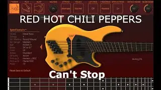 Red Hot Chili Peppers - Can't Stop - Bass Cover - DTM