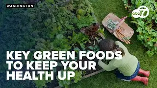The essential green foods you should eat to keep your health in check