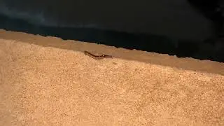 what this is ?  please help me to subcr