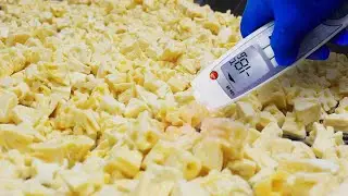 IQF Frozen Pineapple Production Process at Nafoods