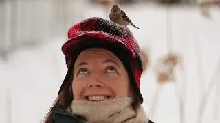 Nature Moments: Birds' Personalities