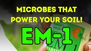 How Maple EM.1 Hariyali Boosts Soil Fertility & Plant Growth Naturally