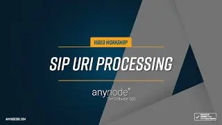 anynode 28 - SIP URI Processing (engl.)