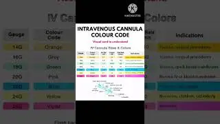 IV CANNULA SIZES AND COLOUR #ivcannula #cannula #nursingstudent #shortsvideo #shortsviral #ytshorts