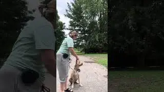 Nala&rsquo;s Day 4 Training Progress 🐶 | Foundation Skills & Confidence