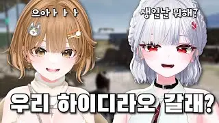 I 킹냥이 괴롭히는 방법