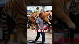 Video Lucu #shorts #ai #shortsfeed #shortsviral #trending #cute #funny #lucu