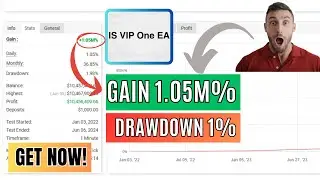 IS VIP ONE MT4 EA &ndash; Precision Gold Trading on M1