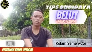 Cara Budidaya Belut Untuk Pemula  Tips Budidaya Belut