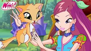 Winx Club | Latinoam&eacute;rica - El parque natural del Alfea | CLIP