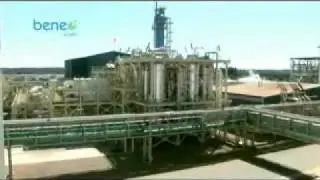 Production process of inulin and oligofructose (Spanish)