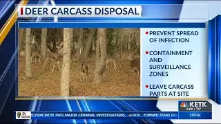 TPWD reminds hunters about proper deer carcass disposal