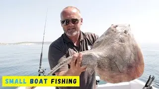 Small Boat Fishing - Needles - Undulate Rays - Warrior 165