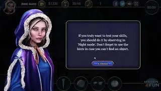 Polar Mystery   at hidden4fun com  game-play