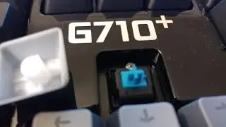 Logitech G710 Mechanical Gaming Keyboard Typing Sound (MX Blue)