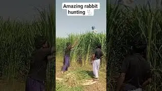 amazing rabbit hunting 🐇 #rabbit #shorts #farming #animals #villagelife