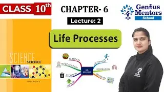 Class 10 Science Chapter 6 | Life Processes | Lecture 2 | Genius Mentors School | Science