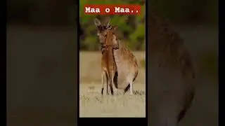 Maa O meri Maa. #mother #maa #motherhood #emotional #love
