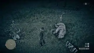 RDR2 Online - Wintergreen Berry locations