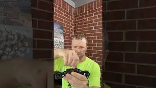 Quick review - F810 GPS dog collar set up and demo #ad