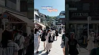 Tagestrip nach Enoshima ~ perfekt um der Hitze des Sommers zu entkommen 💦