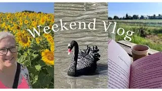 Slow mornings, Sunflowers, Swans and a Farmers Market