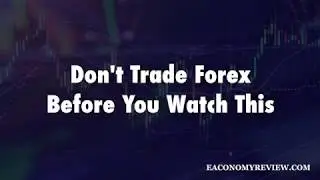 Watch This Before You Trade Forex - Eaconomy Review