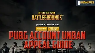 How to Appeal a PUBG Banned Account